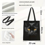 Rui-579