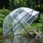 Umbr-L-09-Mix(4шт)