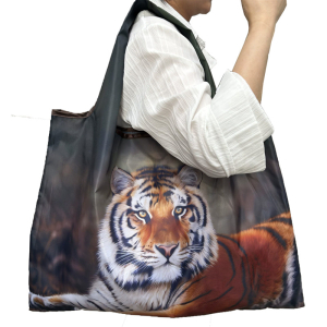 OB-5004/349 ―  "Сумкины Дети"