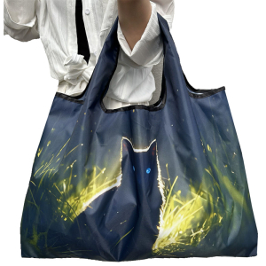 OB-5004/353 ―  "Сумкины Дети"