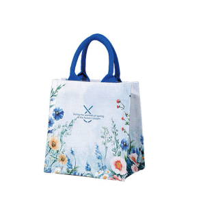 Rui-Mi-67-XS ―  "Сумкины Дети"