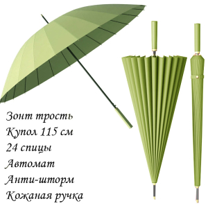 Umbr-L-605-Olive ―  "Сумкины Дети"